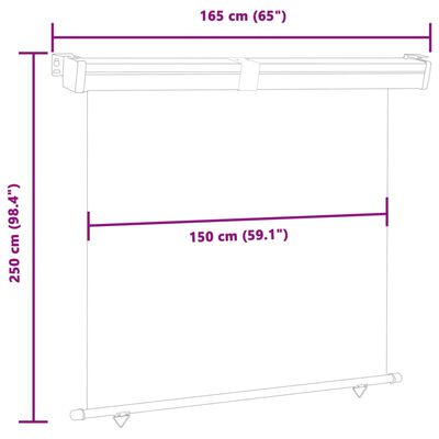 vidaXL バルコニー用 サイドオーニング 165x250cm グレー