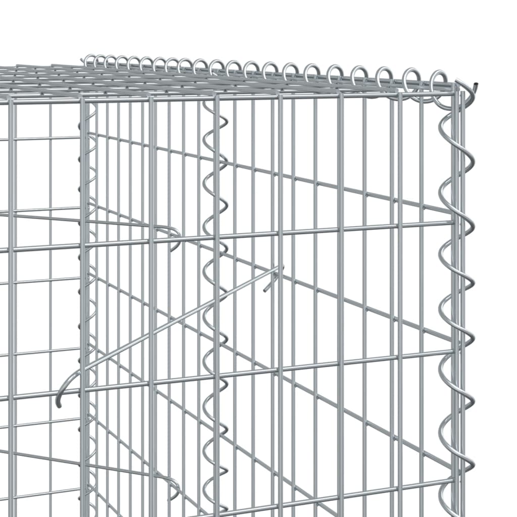 vidaXL 蛇籠バスケット カバー付き 200x100x200cm 亜鉛メッキ鉄