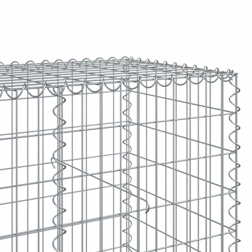 vidaXL 蛇籠バスケット カバー付き 200x100x100cm 亜鉛メッキ鉄